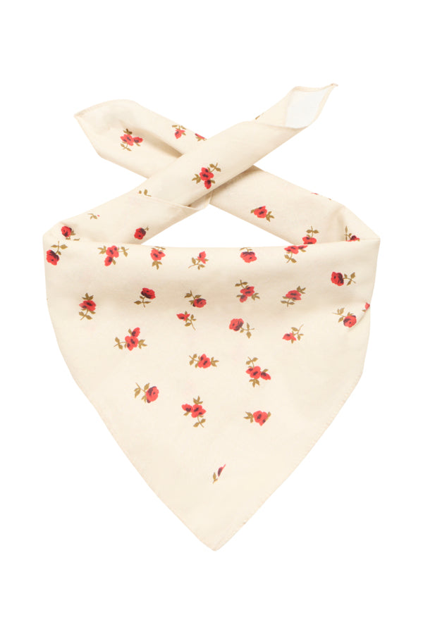 IAROSALINA SCARF